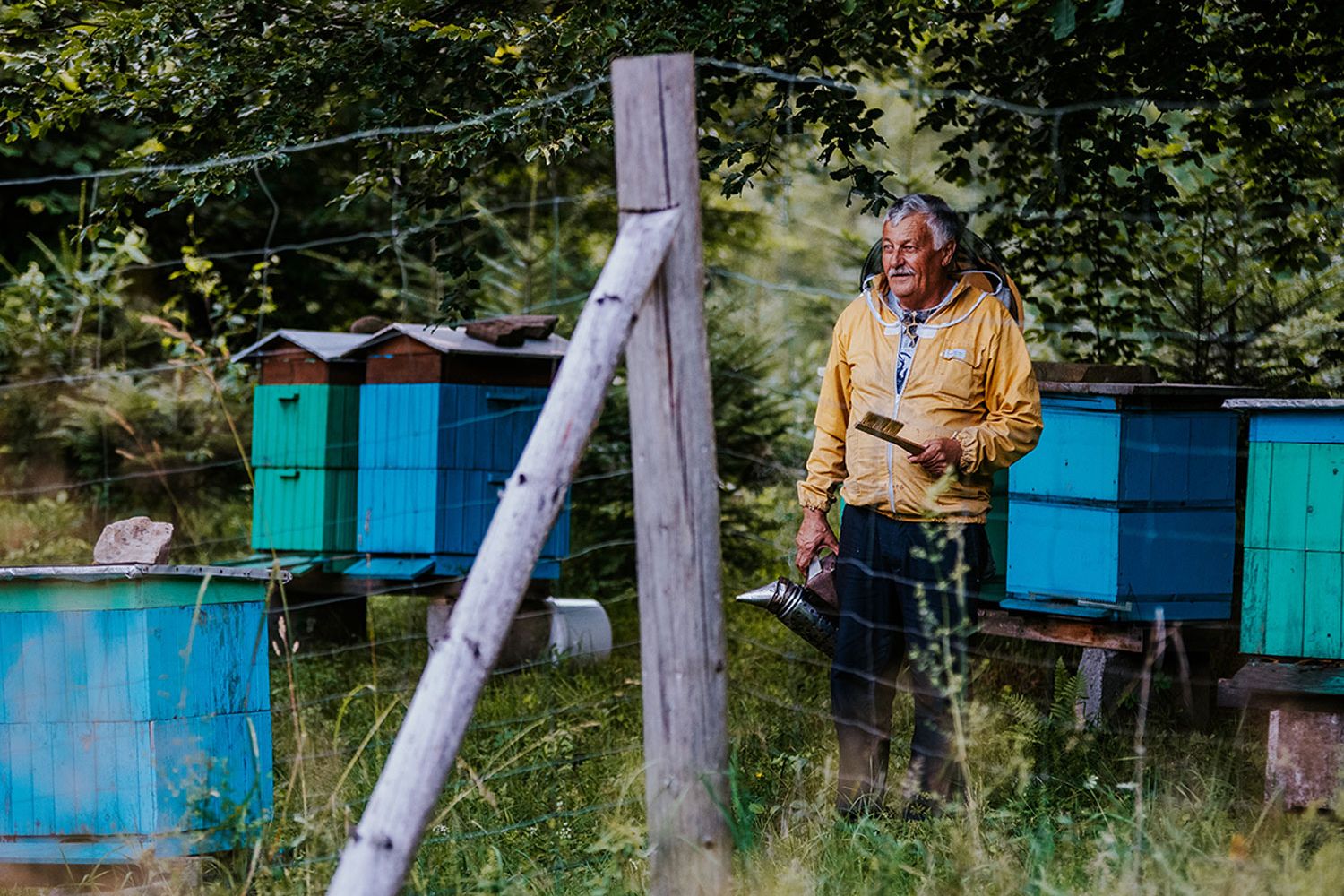 The beekeeper behind Madu Miodu honey