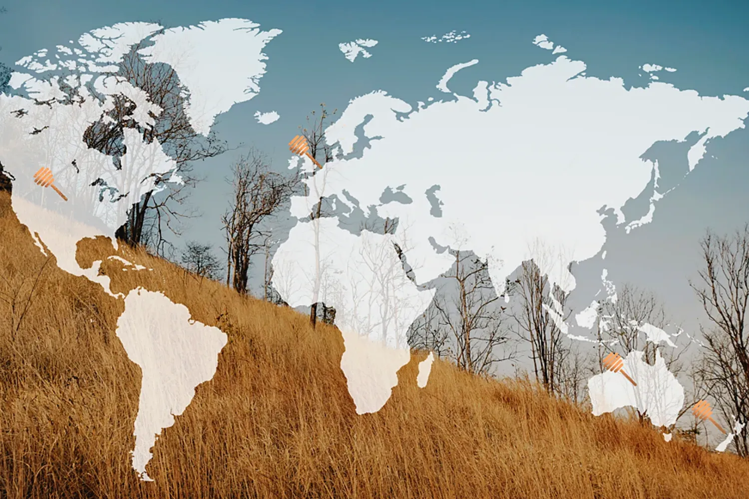 The World in a Spoon: The Differences of Honey Across Origins